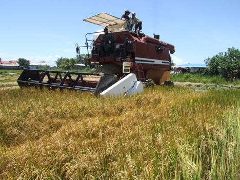 Verken het Nickerie District